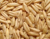 燕麦米燕麦仁裸燕麦粒片内蒙古农家全胚芽五谷杂粮粗粮三主粮5斤