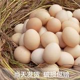 泰州特产土鸡蛋正宗杂粮喂养草鸡蛋农家自养散养30枚土鸡蛋包邮
