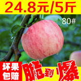 现货山东烟台栖霞纯天然农家红富士苹果新鲜水果80一箱5斤包邮
