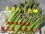 1斤装新鲜青绿芦笋当天采摘发货保鲜蔬菜养生山东曹县特产青菜