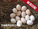正宗农村自家散养新鲜土鸡蛋40枚初生农家草鸡蛋原粮喂养笨鸡蛋