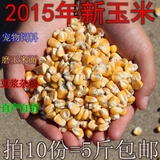 2015新货农家自产散装有机 玉米粒 打豆浆杂粮 鸡鸭鸽子宠物饲料