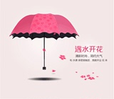 韩国韩版3折叠太阳伞 创意遇雨水开花公主晴雨伞防紫外线雨