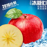 兴缘果园 新疆阿克苏冰糖心红富士苹果甜 新鲜水果10斤广东包邮