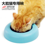 包邮精美防滑宠物猫碗 猫咪专用食盆 大脸猫加菲猫异短专用猫用品