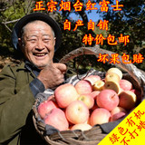 红富士新鲜水果山东烟台苹果十斤包邮特色水果农家自产甜脆可口