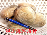 鲜活天鹅蛋贝，鲜活海鲜，刺身料理，2—4个/斤，500克