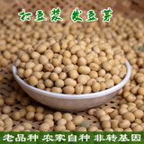 安徽老品种土黄豆 打豆浆发豆芽 纯天然农家自种非转基因 250g