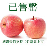 高山野生丑苹果新鲜水果原生态冰糖心红富士苹果脆甜多汁5斤批发