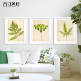 蕨类植物装饰画个性树叶挂画书房创意壁画沙发背景墙餐厅时尚墙画