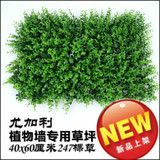 加密仿真草坪绿化墙体地毯草皮尤加利阳台绿植装饰绿色植物背景墙