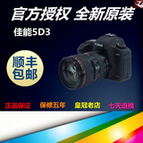 正品佳能5d3单反相机EOS 5D MarK III 5D3单机 24-105/24-70套机