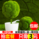 仿真植物假植物绿植室内外装饰塑料盆栽绿萝小盆栽仿真花草植物
