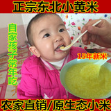 2015年新米农家有机小米小黄米宝宝米月子米孕妇专用出口品质500g