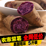 广西特产农家紫薯5斤包邮 新鲜有机蔬果紫色番薯自产紫心红薯地瓜