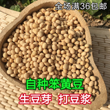 黄豆 非转基因 沂蒙山农户自种有机小黄豆 可发豆芽豆浆 250g