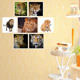 森林野兽狮子老虎豹照片画芯动物世界客厅装饰画学生校园寝室贴画