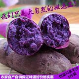 海南热带三亚现挖新鲜紫薯 紫芋头 地瓜山芋番薯 新鲜蔬菜5斤包邮