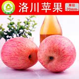 陕西延安正宗洛川红富士苹果特产新鲜脆甜苹果水果9枚70精装包邮