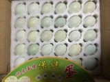 五黑一绿种蛋、华绿黑鸡种蛋 绿壳蛋鸡种蛋 乌鸡蛋 受精率95%以上