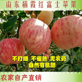 烟台苹果 红富士水晶富士 新鲜水果 山东特产85级 5斤包邮