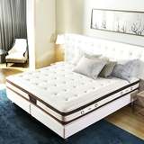 慕斯正品酒店宾馆床垫2米2.2米棕簧两用乳胶床垫1.8/2米软硬两用