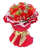 妈妈生日送红色康乃馨探望病人长辈鲜花速递上海花店上海同城订花
