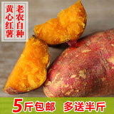 农家自种新鲜山芋红心板栗黄心红薯地瓜番薯5斤包邮小红薯小香薯