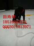 正品特价红色覆膜地毯上海乐景化纤展览展示纯色覆膜地毯厂家直销