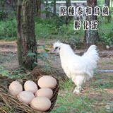 江西泰和初生土乌鸡蛋农家正宗新鲜乌鸡蛋受精蛋可孵化小乌鸡种蛋