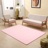特价家用纯色珊瑚绒地毯卧室床边客厅房间满铺可手洗防滑吸尘定制