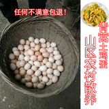 土鸡蛋 农家散养新鲜 五谷杂粮月子 宝宝辅食笨鸡蛋 20枚包邮