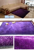 简约时尚韩国丝加密加厚客厅亮丝地毯 卧室床边飘窗地毯门口地垫