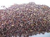 2016年新黑麦种子/有机富硒黑小麦草种子 可榨汁喝 保健种子 500g