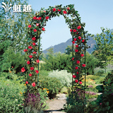 虹越 DAIM花园拱门花架（w120）庭院藤本植物爬藤架子 承重约10kg