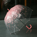 韩版樱花长柄透明雨伞 清新树藤绿叶阿波罗气泡拱形个性蘑菇伞