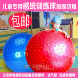 感统训练器材儿童按摩球健身球瑜伽球加厚防爆大龙球宝宝触觉球
