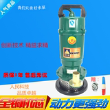 370W750W家用潜水泵 抽水泵 抽水机 小型井水 农用水泵一寸 220V