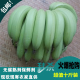 包邮广东高州香蕉水果新鲜banana无催熟剂非米蕉粉蕉海南芭蕉十斤
