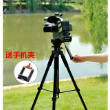缔杰TR688V 专业摄影摄像机三脚架 微单反相机三角架云台便携支架