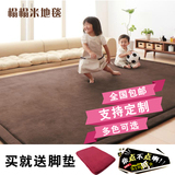 加厚珊瑚绒客厅卧室地毯地垫 可定制日式榻榻米垫 飘窗茶几垫满铺