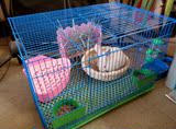 包邮 特价垂耳兔笼豚鼠笼荷兰猪笼活体宠物用品兔子笼鸟笼 鸽子笼