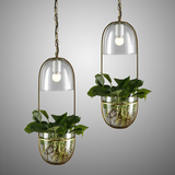 可种植物吊灯客厅餐厅创意个性玻璃水养植物花店阳台吧台田园吊灯