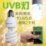爬虫节能UVB灯 10.0 5.0 陆龟蜥蜴活体补钙多肉植物补光灯紫外线