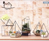 几何玻璃罩花房小摆件 微景观多肉植物永生花瓶器创意饰品工艺盆