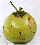 海南文昌椰林特产热带新鲜水果  4个带皮青椰子  鲜嫩椰青毛椰包