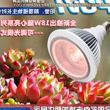 科技全光谱LED植物生长灯 多肉补光灯 蔬菜育苗 水草 花卉灯