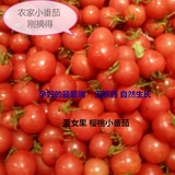 苏北农家有机水果小番茄 小西红柿 圣女果 孕妇果实