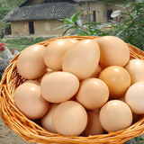 正宗土鸡蛋农家散养纯天然新鲜山鸡蛋农村自养有机高山笨鸡蛋20枚