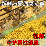 内蒙古油菜蜂花粉 纯天然新鲜油菜蜂花粉 保护男性健康 包邮破壁